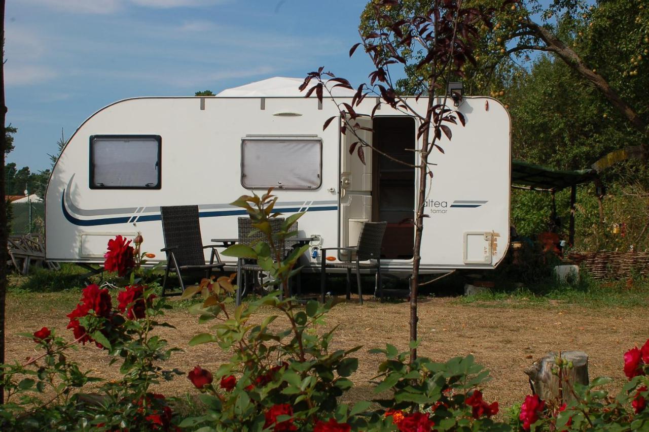Camping Rogowo Mrzezyno Ngoại thất bức ảnh