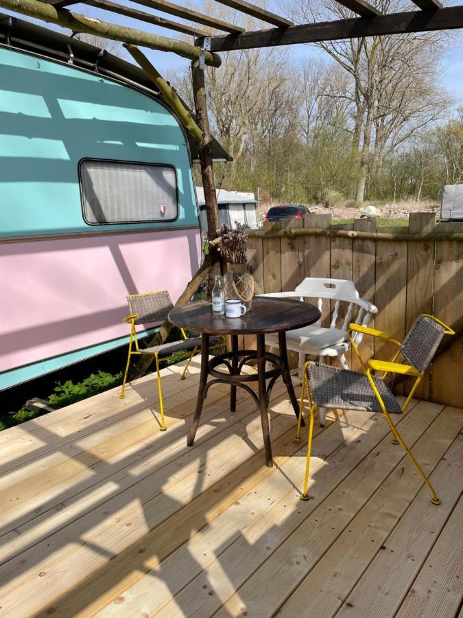 Camping Rogowo Mrzezyno Ngoại thất bức ảnh