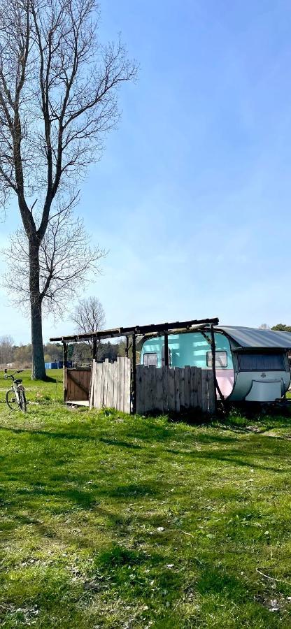 Camping Rogowo Mrzezyno Ngoại thất bức ảnh