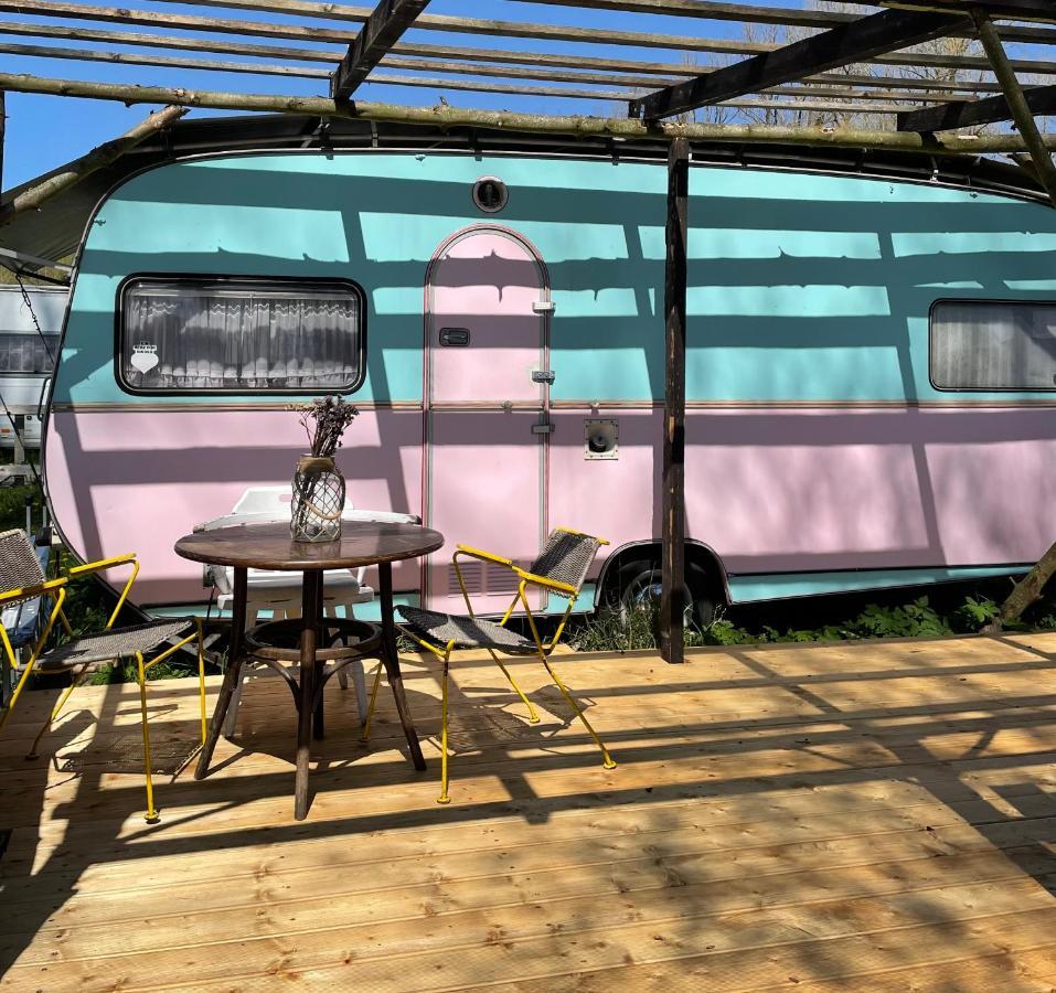 Camping Rogowo Mrzezyno Ngoại thất bức ảnh