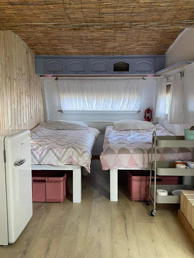 Camping Rogowo Mrzezyno Ngoại thất bức ảnh