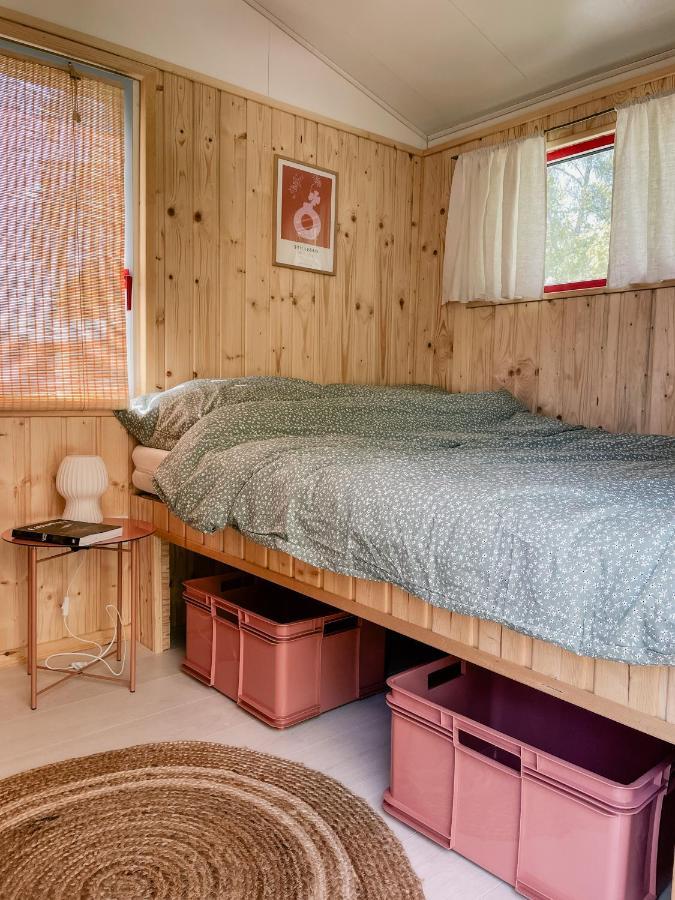 Camping Rogowo Mrzezyno Ngoại thất bức ảnh