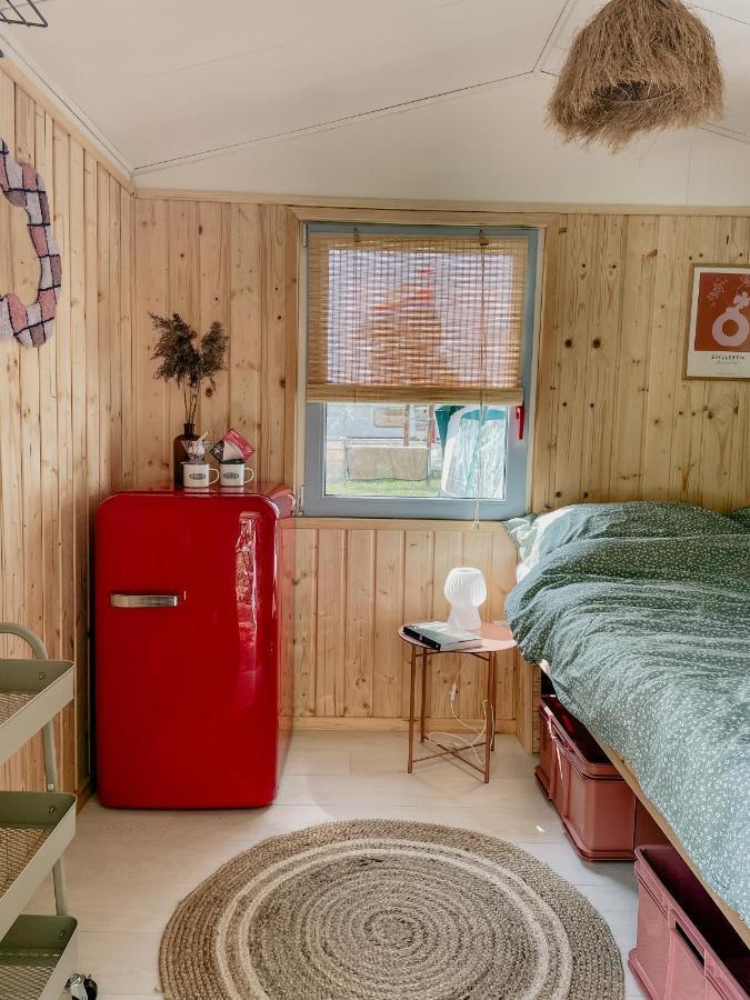 Camping Rogowo Mrzezyno Ngoại thất bức ảnh