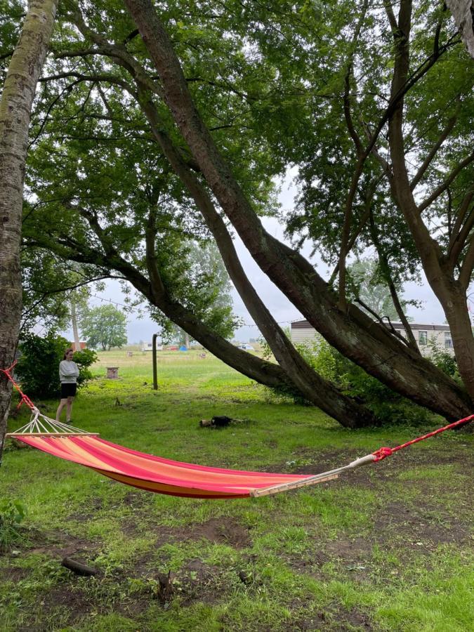 Camping Rogowo Mrzezyno Ngoại thất bức ảnh