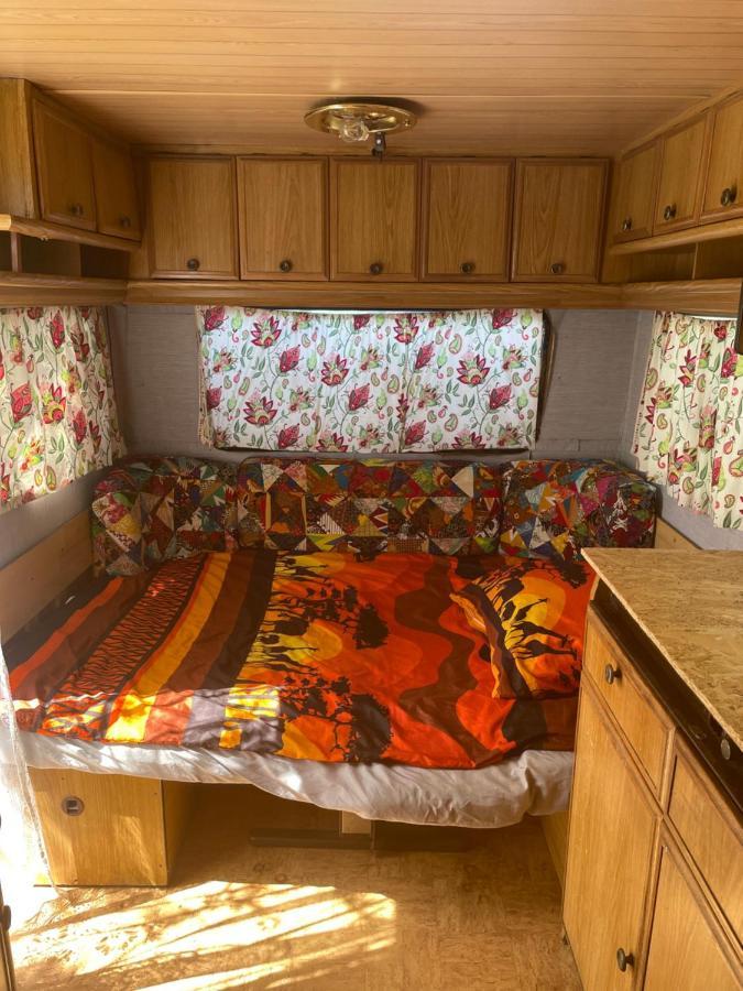 Camping Rogowo Mrzezyno Ngoại thất bức ảnh